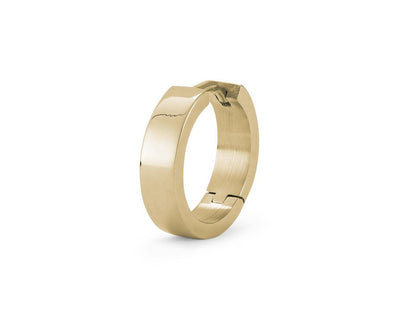 BOUCLE D'OREILLE 2.3G